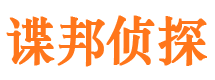 宁河侦探公司